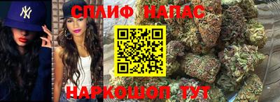 мдпв Гусь-Хрустальный