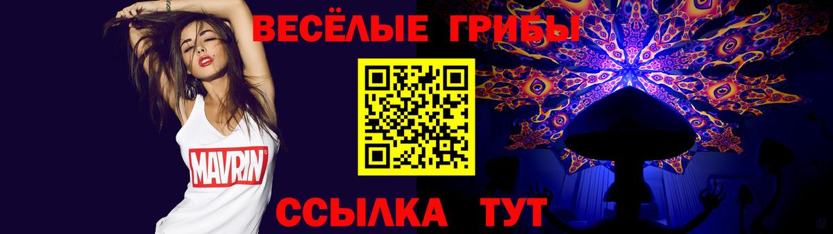 Галлюциногенные грибы Psilocybe  Вход с VPN  Нижнеудинск 